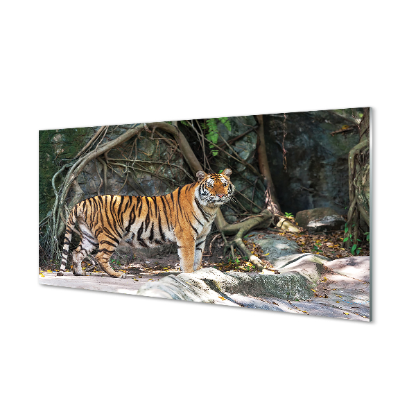 Slika na akrilnem steklu Tiger jungle