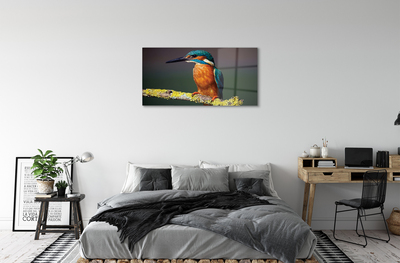 Slika na akrilnem steklu Colorful ptica na veji
