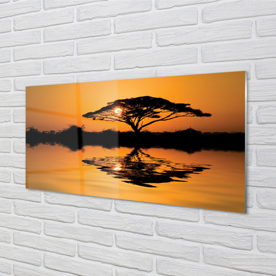 Slika na akrilnem steklu Sunset drevo