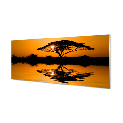 Slika na akrilnem steklu Sunset drevo