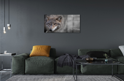 Slika na akrilnem steklu Wolf