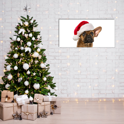 Slika na akrilnem steklu Bulldog Dog božič