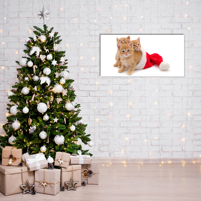 Slika na akrilnem steklu Božični mačke Santa Claus