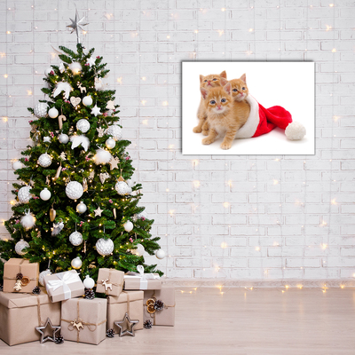 Slika na akrilnem steklu Božični mačke Santa Claus