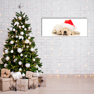 Slika na akrilnem steklu Puppy Cap Santa Claus Zima