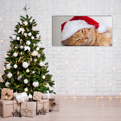 Slika na akrilnem steklu Cat Cap Santa Claus