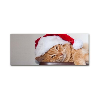 Slika na akrilnem steklu Cat Cap Santa Claus