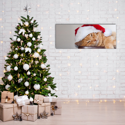 Slika na akrilnem steklu Cat Cap Santa Claus