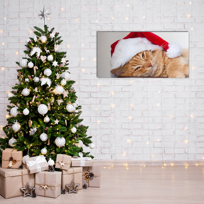 Slika na akrilnem steklu Cat Cap Santa Claus