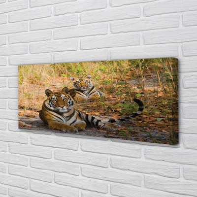 Slika na platnu Tigri