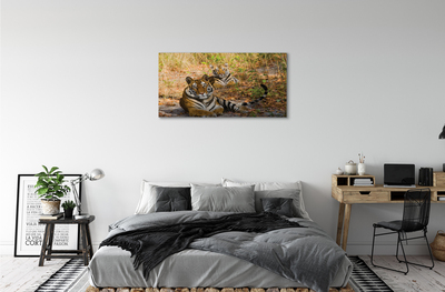 Slika na platnu Tigri