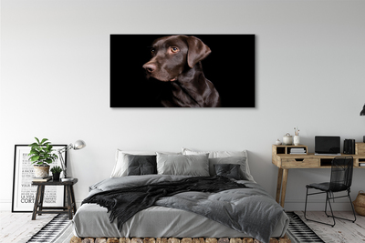 Slika na platnu Rjav pes