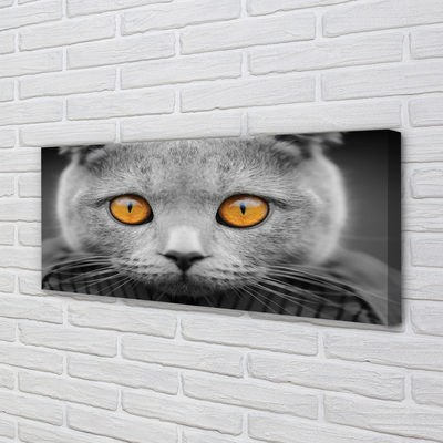 Slika na platnu Siva britanska mačka