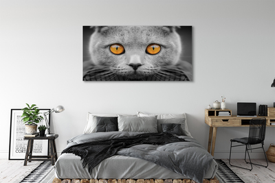 Slika na platnu Siva britanska mačka