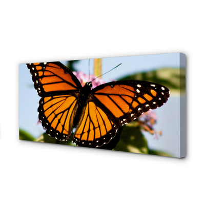 Slika na platnu Pisane metulj