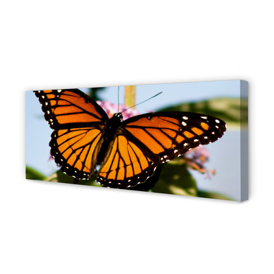 Slika na platnu Pisane metulj