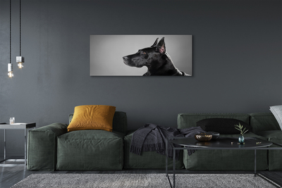 Slika na platnu Črni pes