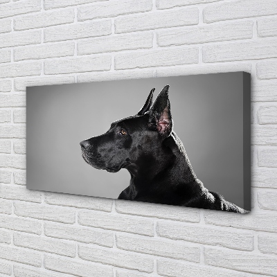 Slika na platnu Črni pes
