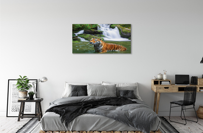 Slika na platnu Tiger slap