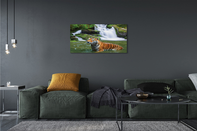 Slika na platnu Tiger slap