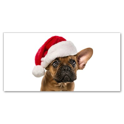 Slika na platnu Bulldog Dog božič