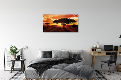 Slika na platnu Drevesa oblaki zahod