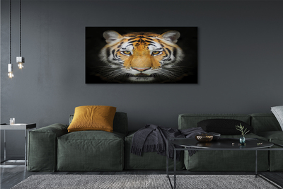 Slika na platnu Tiger