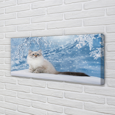 Slika na platnu Mačka zima