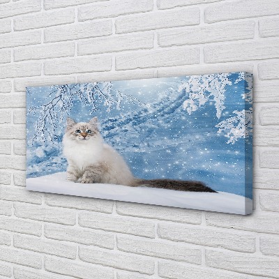Slika na platnu Mačka zima