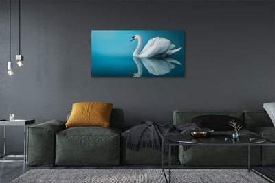 Slika na platnu Swan v vodi