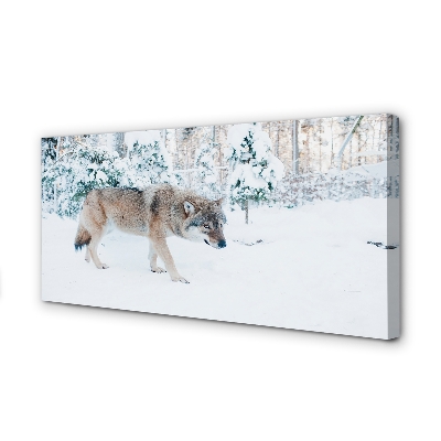 Slika na platnu Wolf zimski gozd