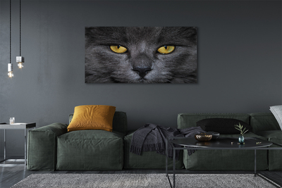 Slika na platnu Črna mačka