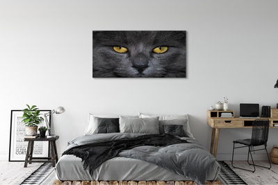 Slika na platnu Črna mačka