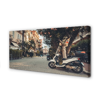 Slika na platnu Motocikli mesto palm poletja