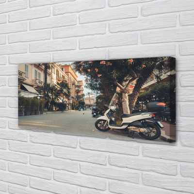 Slika na platnu Motocikli mesto palm poletja