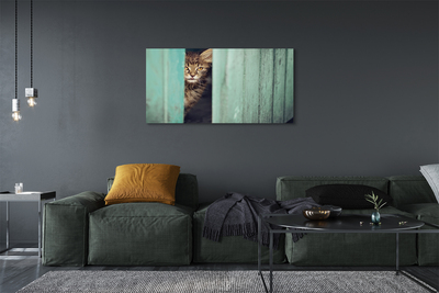 Slika na platnu Zaglądający mačka