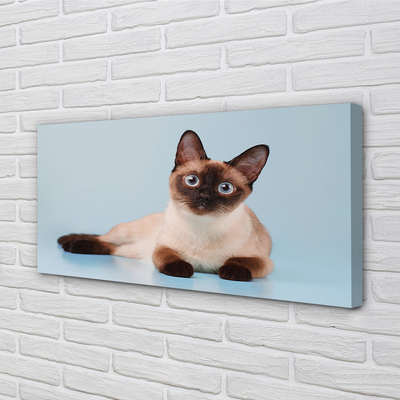 Slika na platnu Leži mačka
