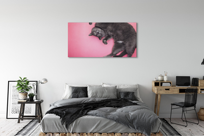 Slika na platnu Leži mačka