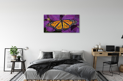 Slika na platnu Pisane metulj rože