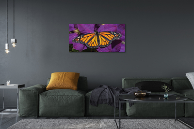 Slika na platnu Pisane metulj rože