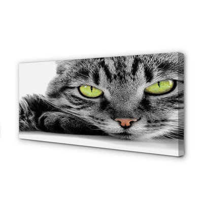 Slika na platnu Sivo-črna mačka