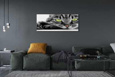 Slika na platnu Sivo-črna mačka