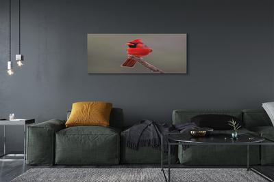 Slika na platnu Rdeča papiga na veji
