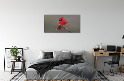 Slika na platnu Rdeča papiga na veji