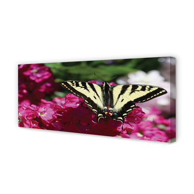 Slika na platnu Cvetje metulj
