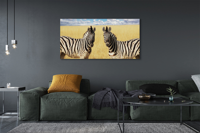 Slika na platnu Zebra polje