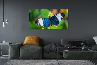 Slika na platnu Pisani metulj na cvetje