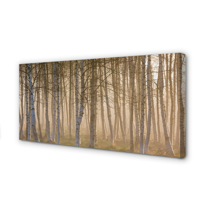 Slika na platnu Sunrise drevo gozd