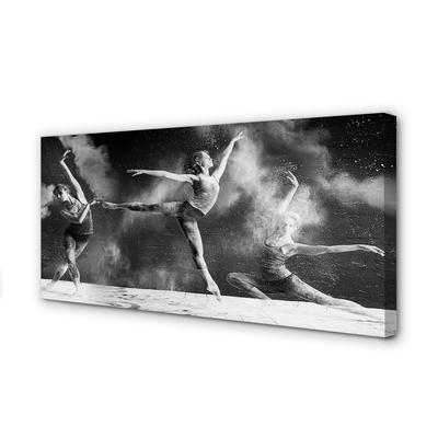 Slika na platnu Ženske balerine dim