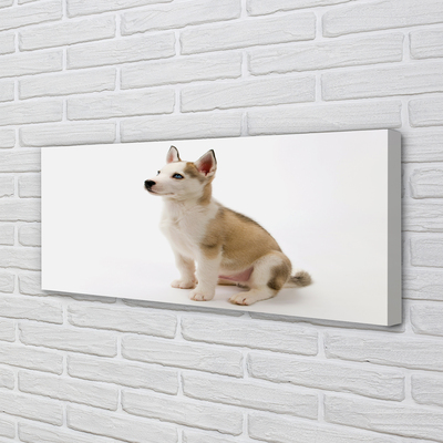 Slika na platnu Sedenje majhen pes